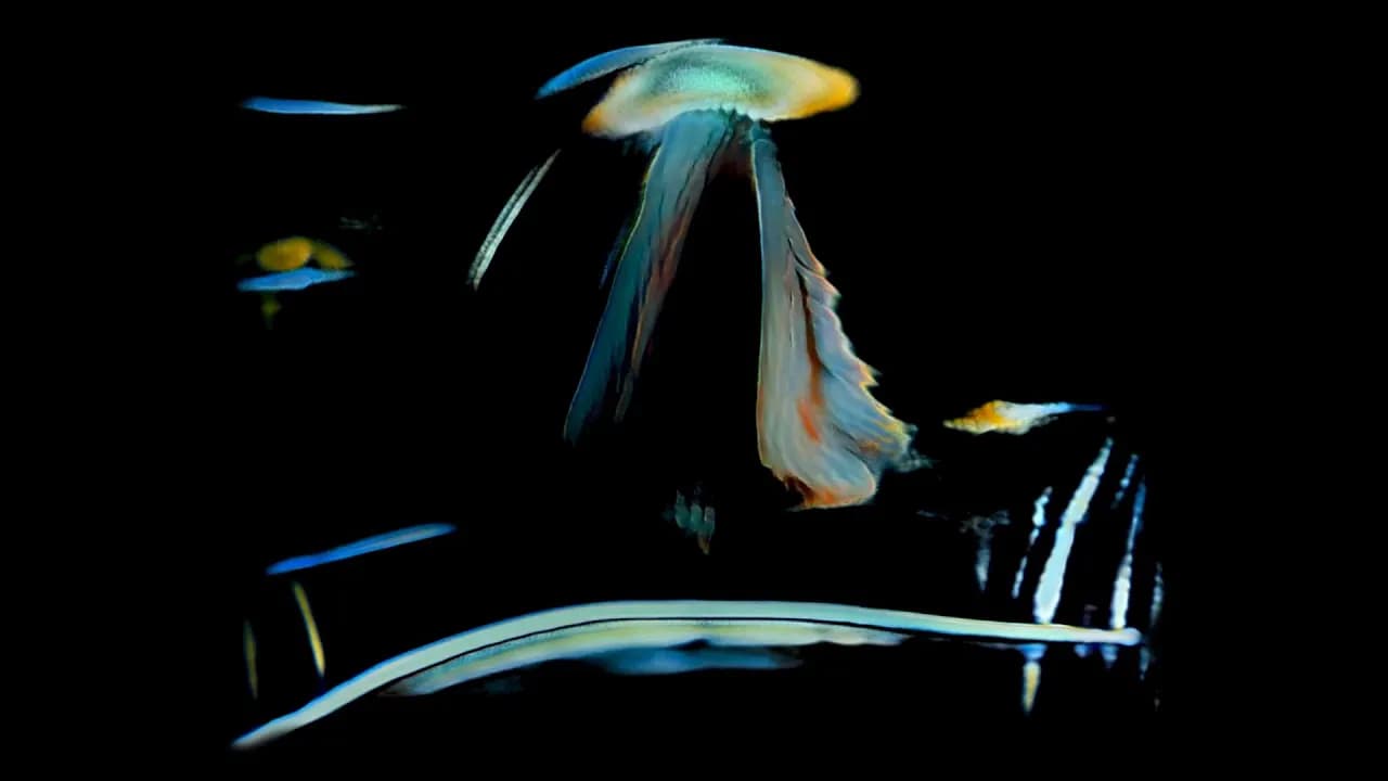 Sub Focus - Fine Day (Visualiser)