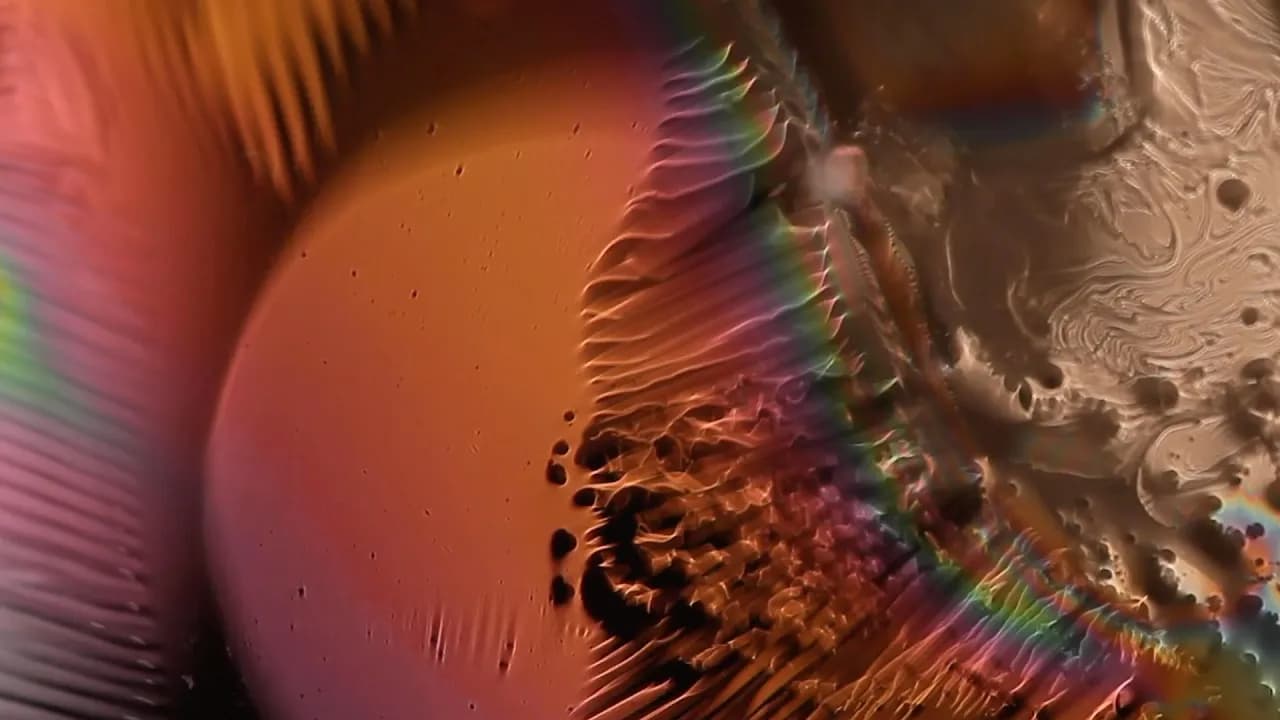 The xx - Angels - Live