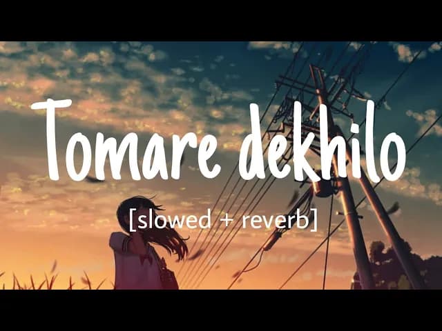 Tomare dekhilo//Slowed + reverb// Habib wahid//Nancy//Chandragrahan//তোমারে দেখিলো//Metaphor