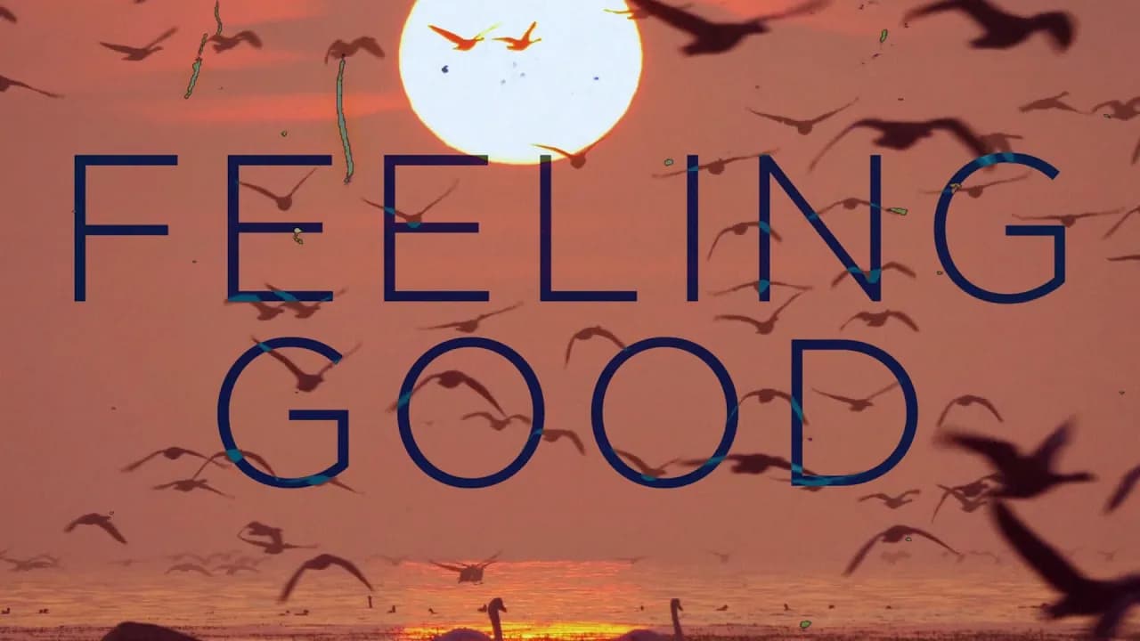 Nina Simone - Feeling Good [Joel Corry Remix]