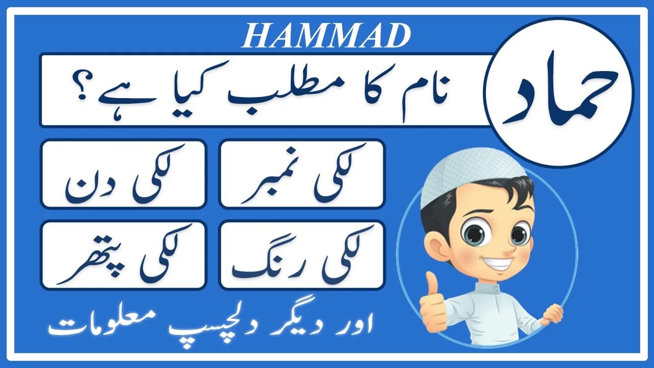 Hammad Name Meaning in Urdu | Hammad Naam Ka Matlab Kya Hai حماد | Amal Info TV