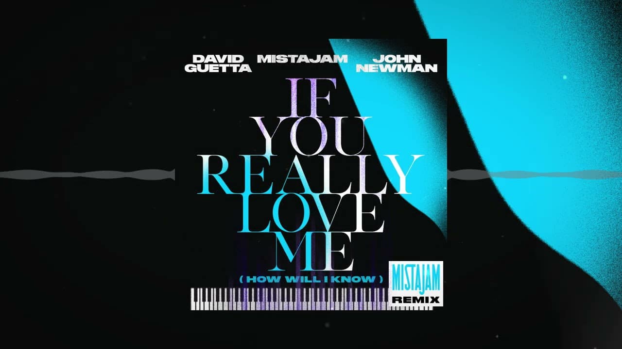 David Guetta x MistaJam x John Newman - If You Really Love Me [MistaJam remix]