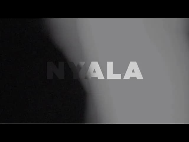 Sal Priadi - Nyala (Official Lyric Video)