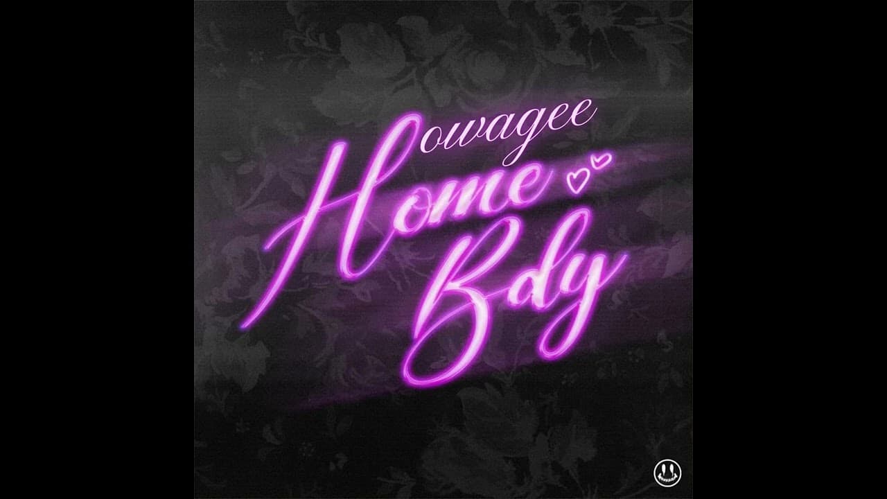 DĖMI, Madman Stan, owagee - homebdy (remix)