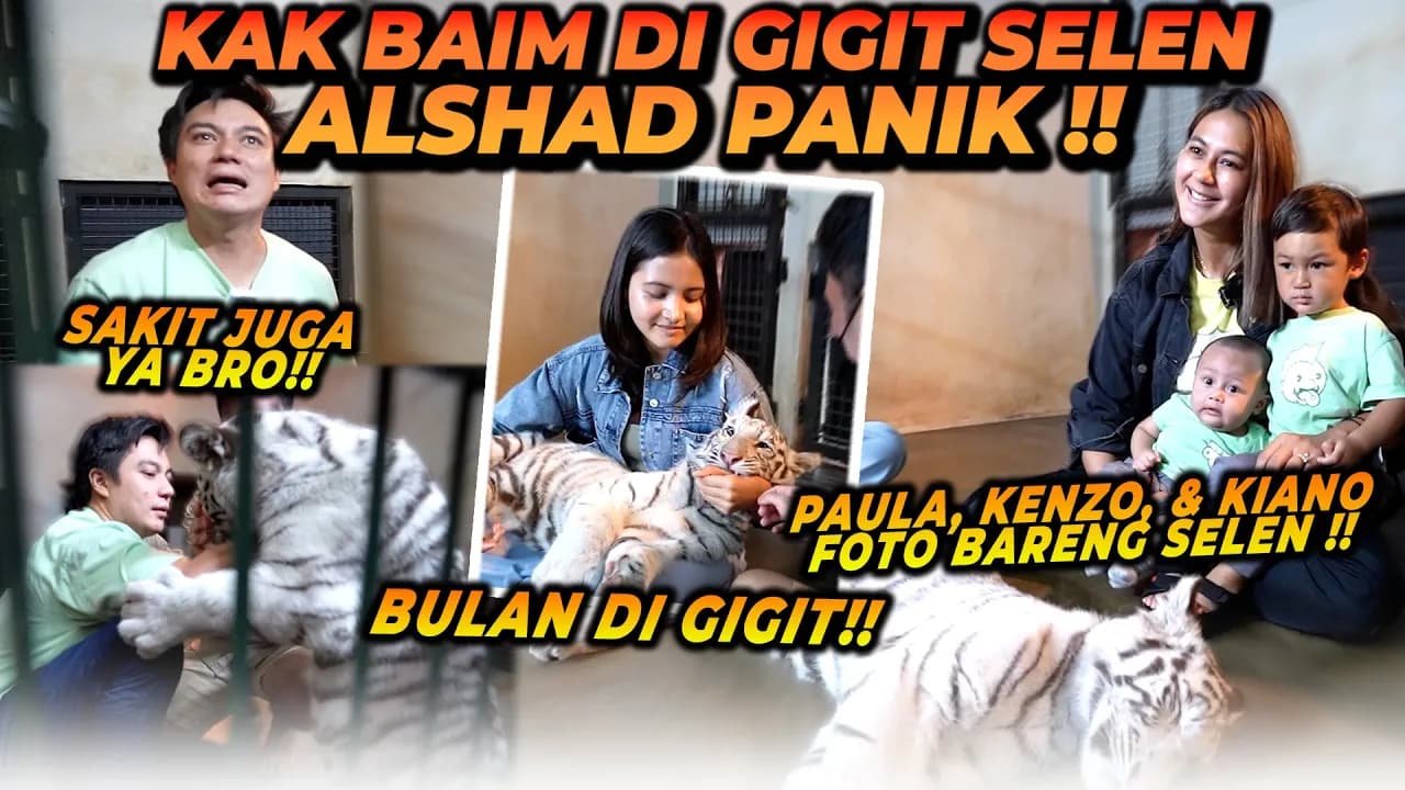 BAIM WONG & BULAN SUTENA KENA G1G1T SELEN ! PAULA, KIANO, KENZO HEBAT BERANI MASUK KE DALEM KANDANG!