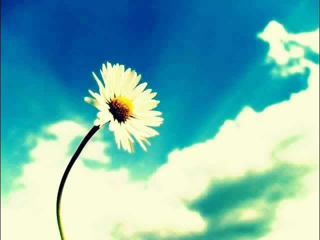 HADDAD ALWI Feat PADI.bismillah