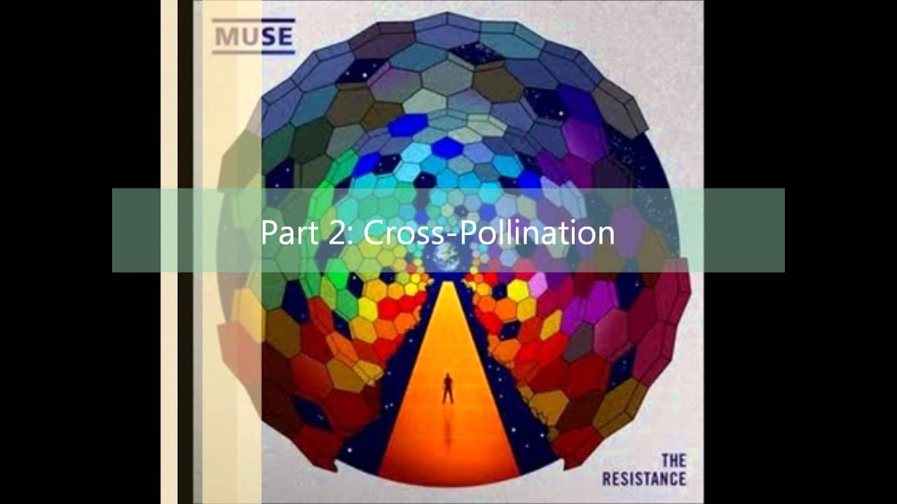 Muse - Exogenesis Symphony Full