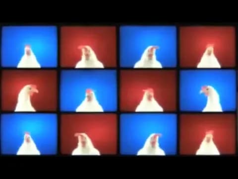 J.Geco - Chicken Song 🎵Music Video🎵 Reverse