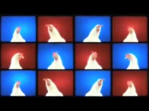 J . Geco chicken song을 역재생 해보았습니다 (J. I played the Geco chicken song in reverse)