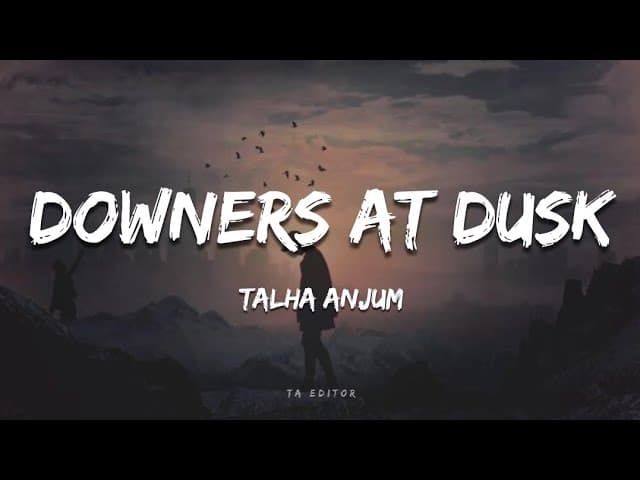 Talha Anjum - Downers At Dusk (Lyrics) | Prod. by UMAIR | TA Editor