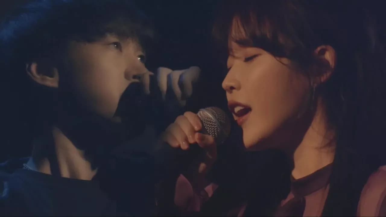 EPIK HIGH X IU (에픽하이 X 아이유) - 연애소설 (LOVE STORY) LIVE @ WDSW Concert