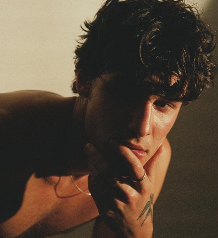 Shawn Mendes