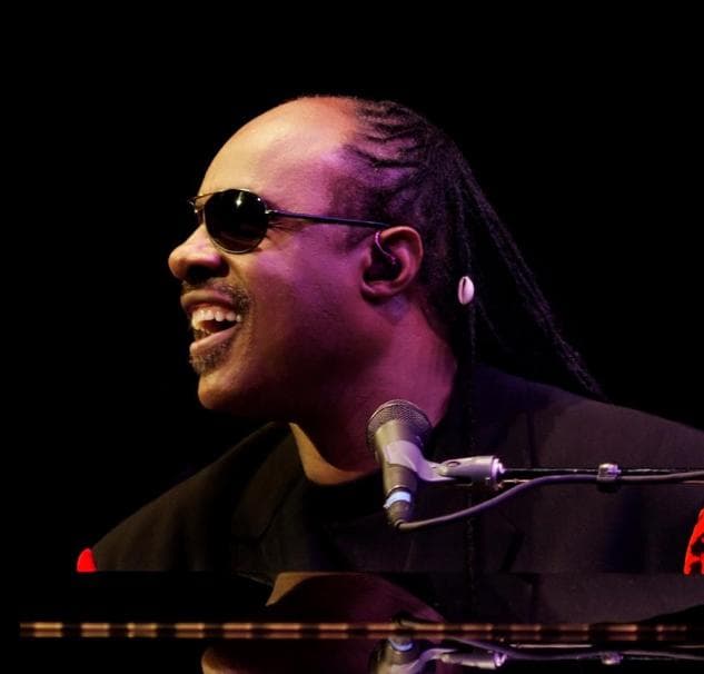 Stevie Wonder