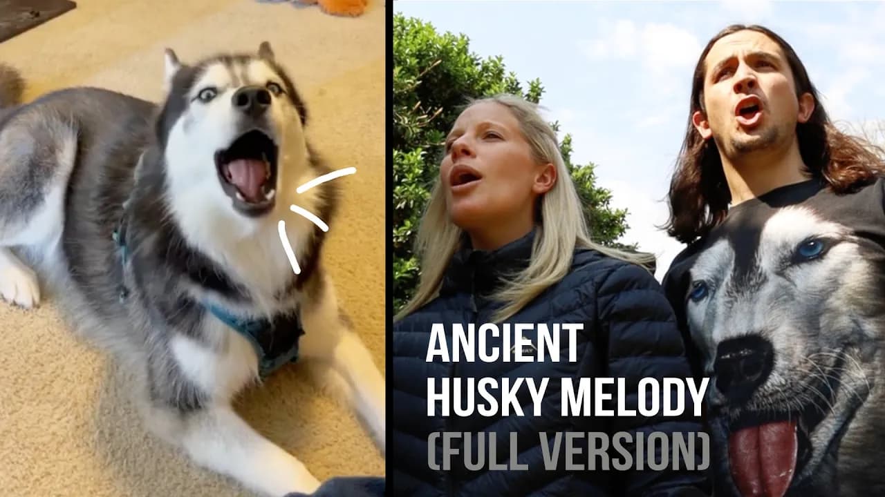 The Kiffness x Haiku the Husky - Ancient Husky Melody (FULL VERSION)