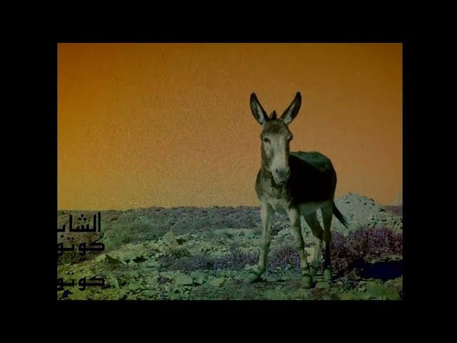 الشاب T R A S H - كوتوكوتو.