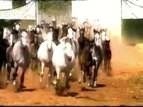 Luis Cobos and The Royal Philharmonic Orchestra - Alazanes Blancos