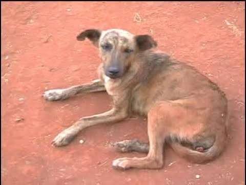 vuusya ungu - Muoi (Official Video)