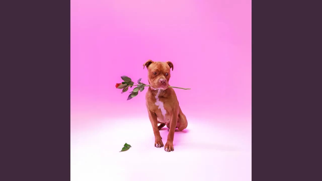 Ngisakuthanda (Edit)