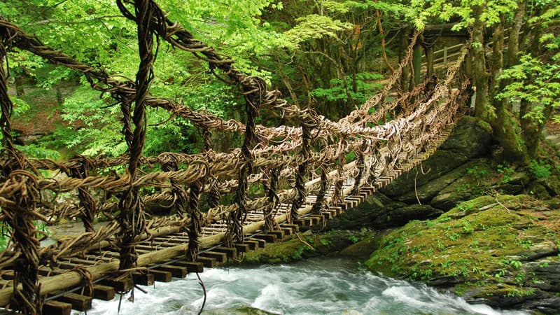 Bridge to Terabithia Study Guide