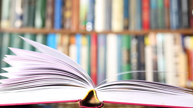 Shiloh by Phyllis Reynolds Naylor Study Guide