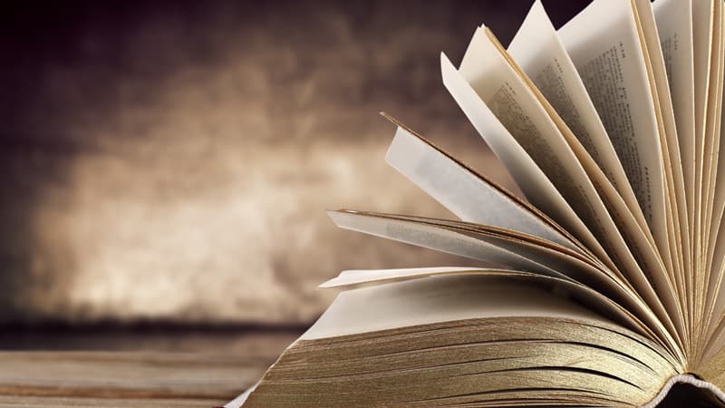 Bud, Not Buddy Study Guide