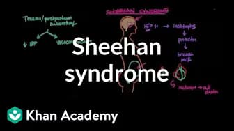Reproductive system physiology | NCLEX-RN | Khan Academy