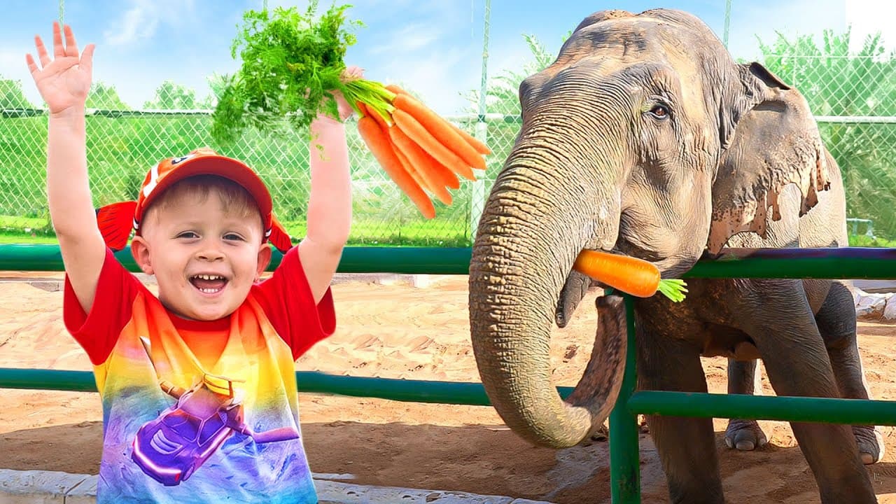 Diana and Roma International