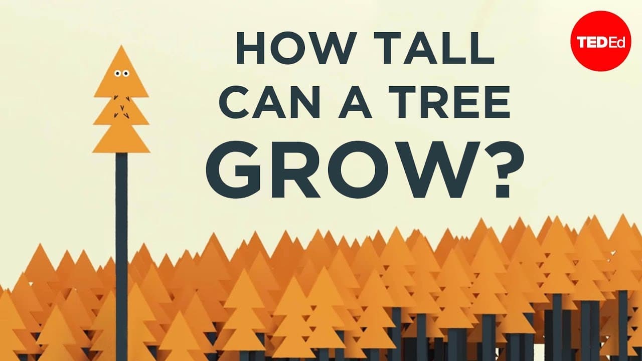 TED-Ed loves trees!