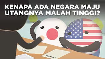 Why Do Developed Countries Have High Debt?