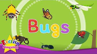 Bugs - Kids Vocabulary - Learn English for Kids - English Educational Video