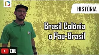History of Brazil - Brazil as a Colony: The Pau-Brasil
