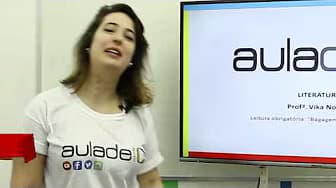 Compulsory Reading - Baggage: Adélia Prado