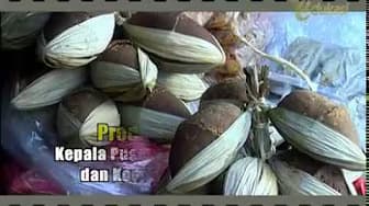 Sugarcane Cultivation seg1 | Bio Agro