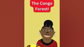 Which forest in Africa is regarded as the 2nd largest rainforest in the world?