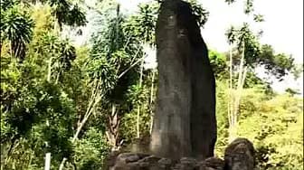 Megalithic Remains - Fun History