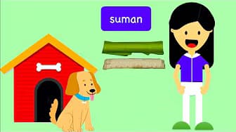 Do you want a fish in ice cream? | Expressing Like and Dislike