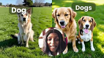 📘 Singular and Plural Nouns: Rules and Examples