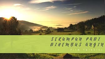 A Bundle of Rice Blown by the Wind seg4 | Television Film