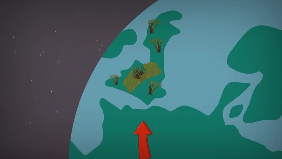 S3E5 What is a Woodland Habitat?