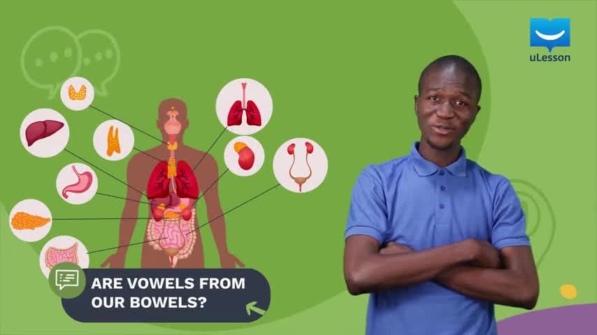 Oral Exercises - Vowels - 1 - Are Vowels Produced in Our Bowels?