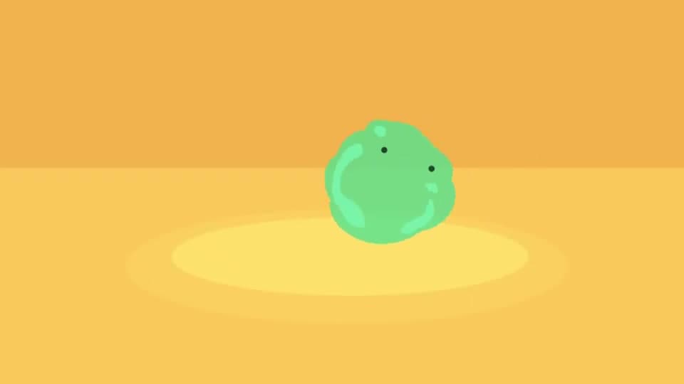 S3E4 What is a Vertebrate?