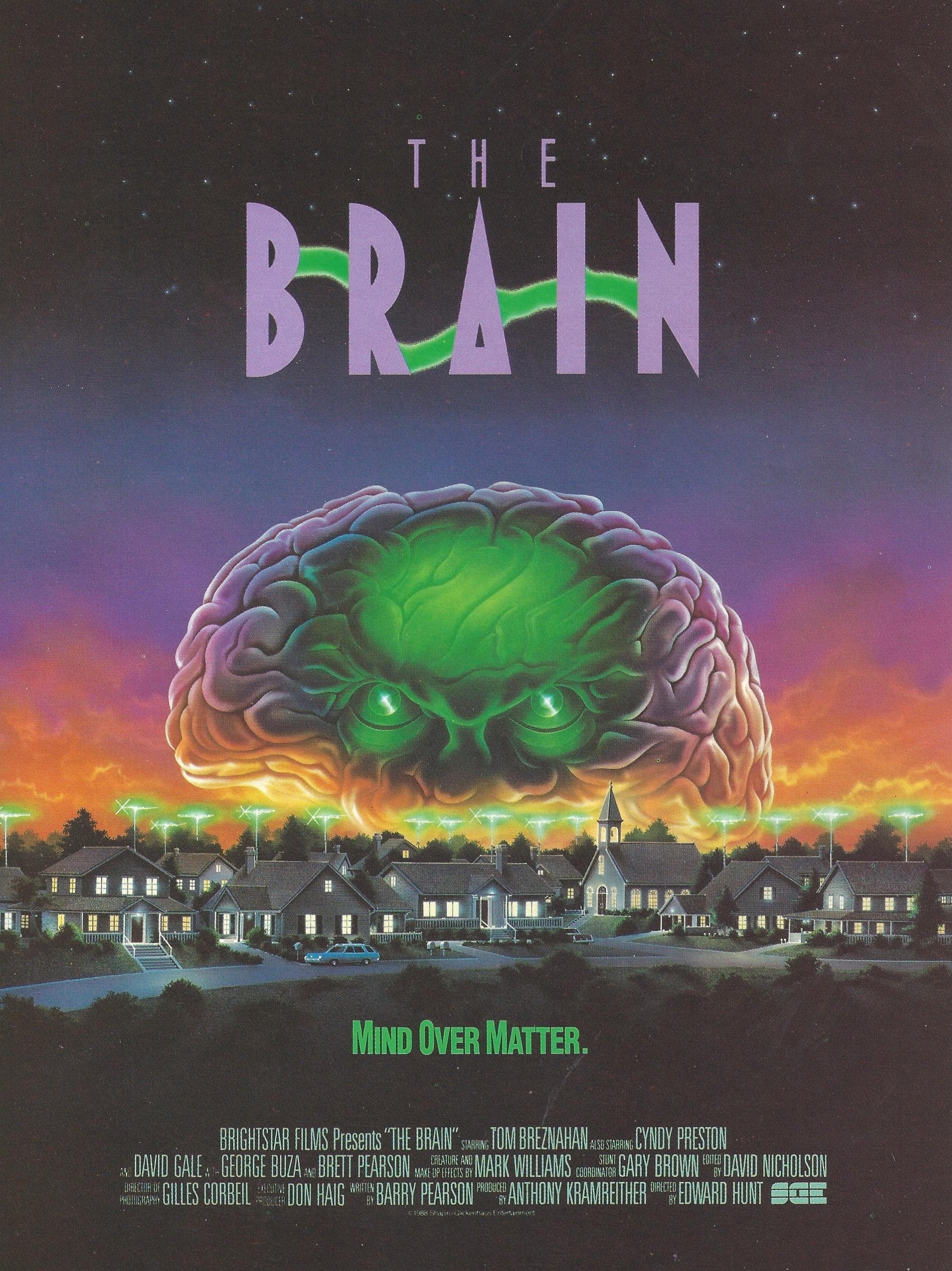 The Brain