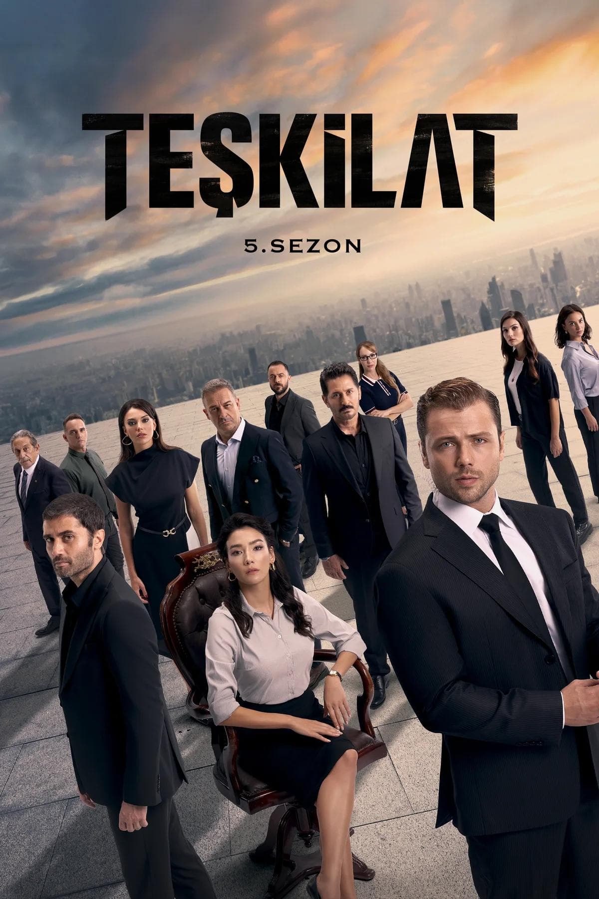 The Shadow Team [English]