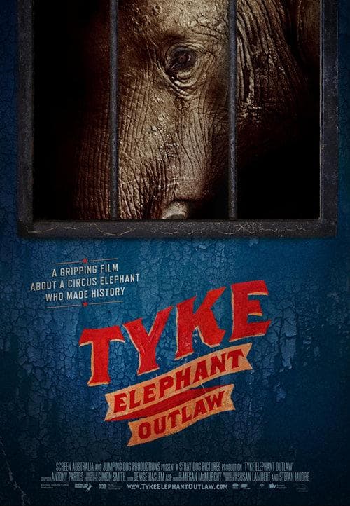 Tyke: Elephant Outlaw