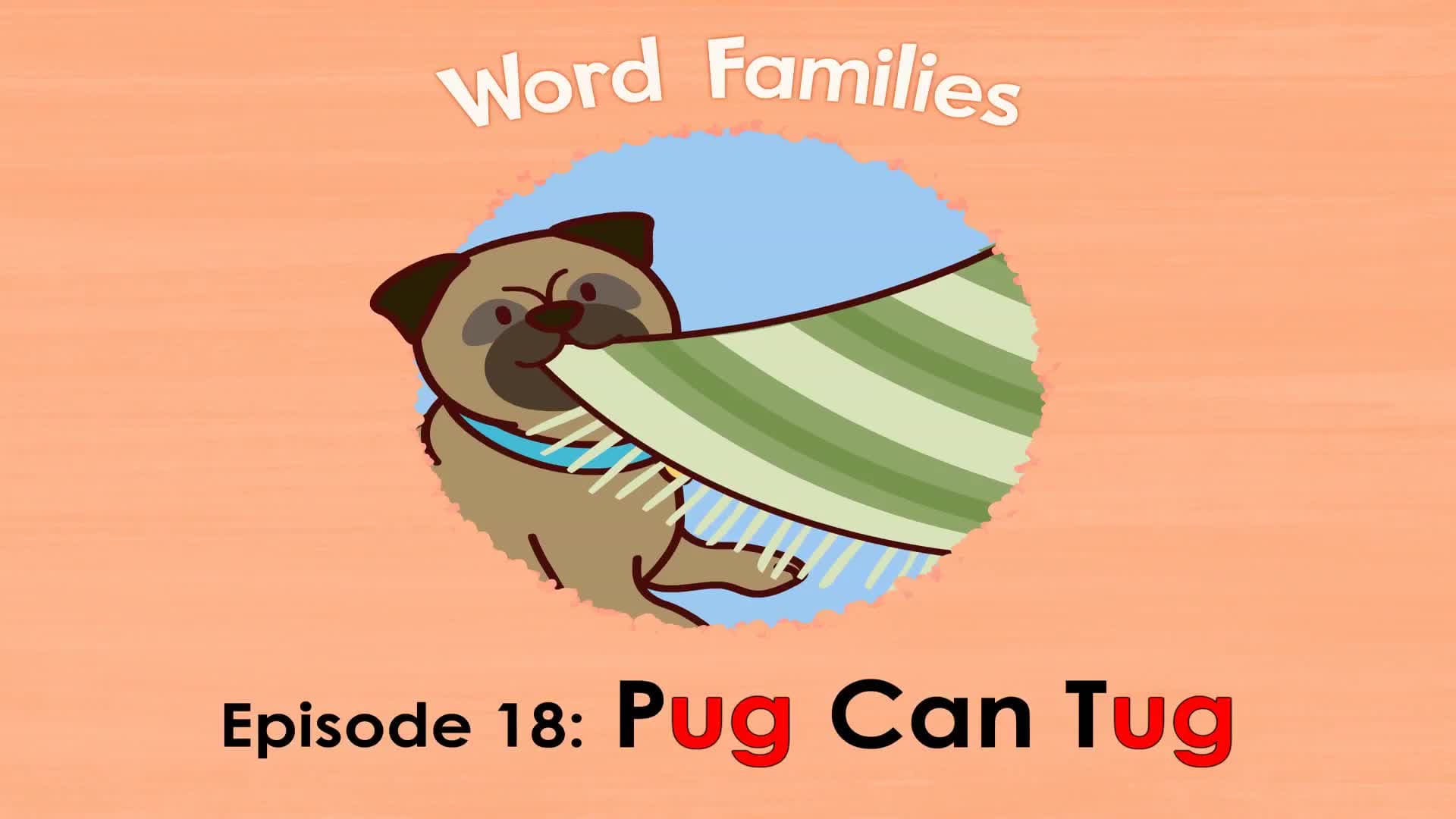 Pug Can Tug