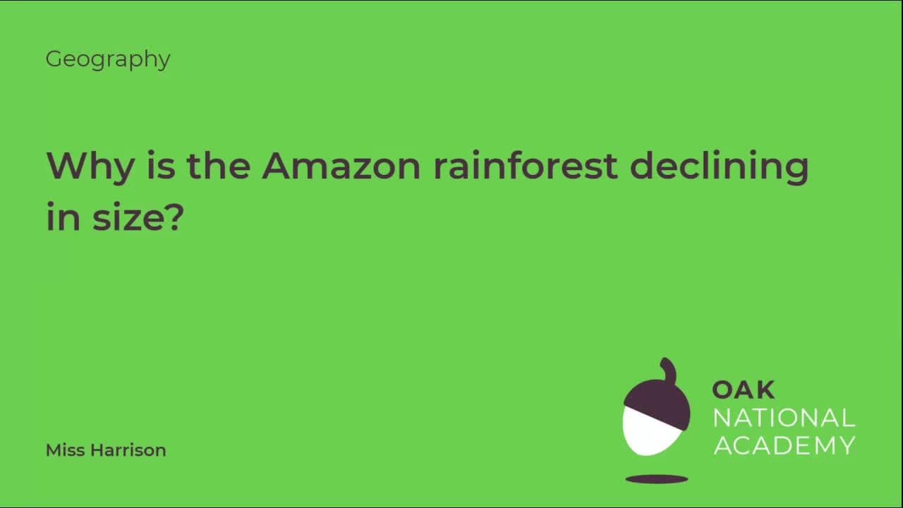 Why is the Amazon rainforest declining in size?