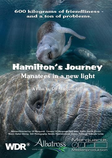 Hamilton's Journey: Manatees in a New Light
