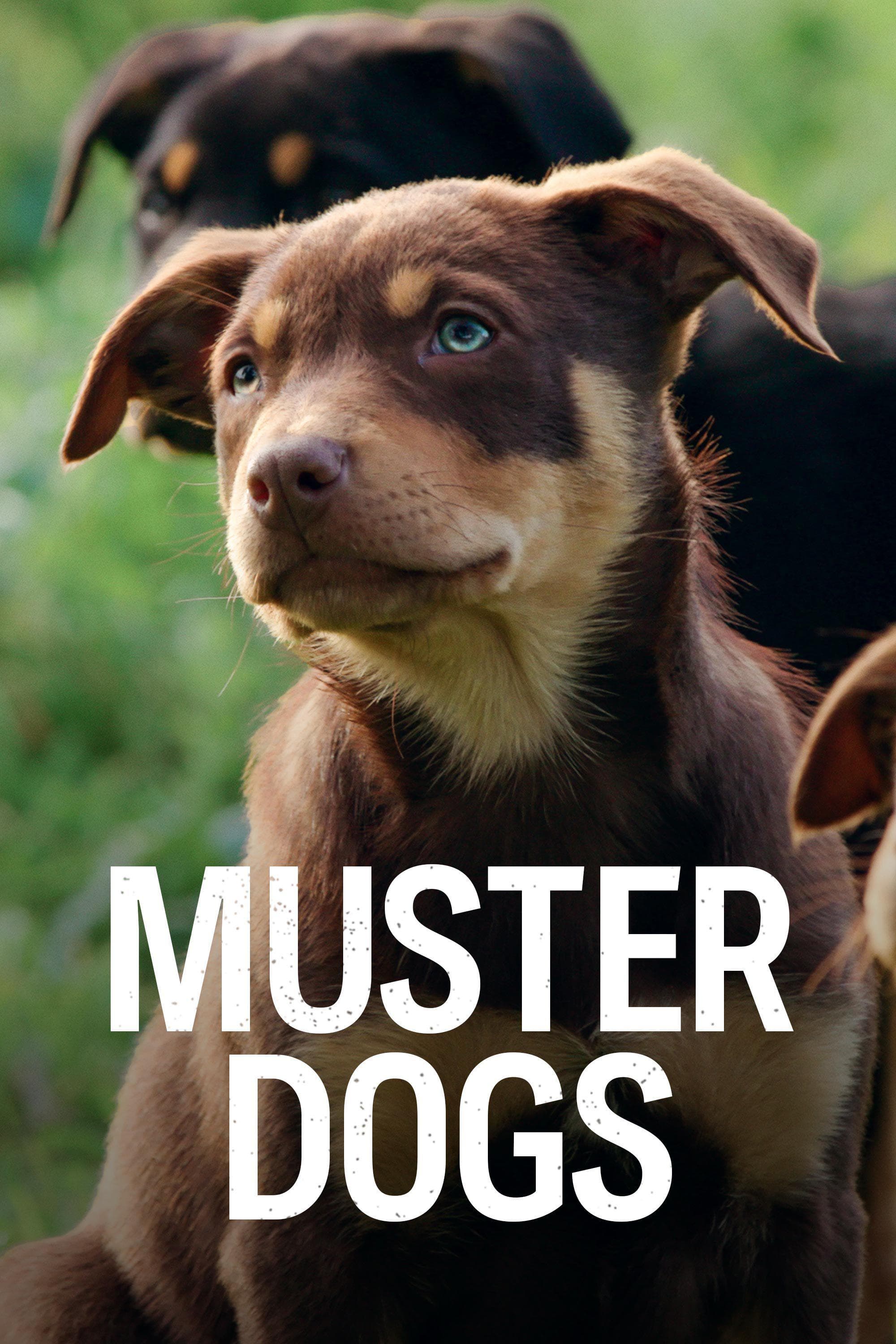 Muster Dogs S2-S3