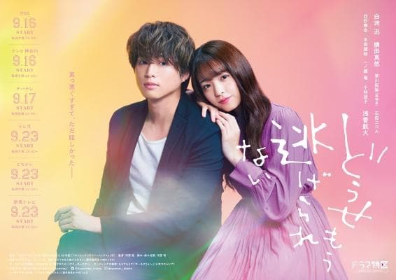 Dôse mô nigerarenai