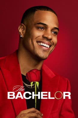 The Bachelor S29